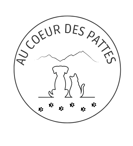 cropped-Logo-Manin-VARCIN.png